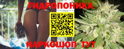 мяу мяу мука Жуковский