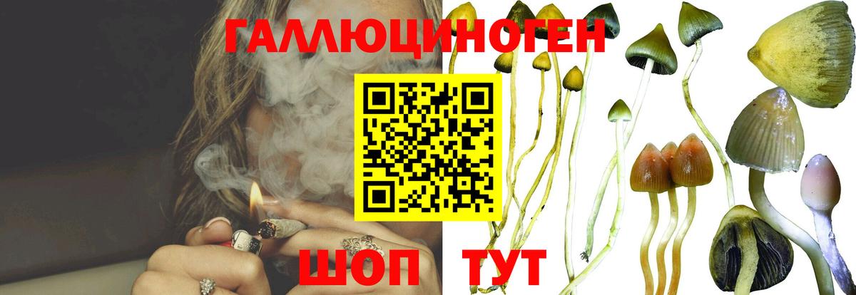 Мытищи  Галлюциногенные грибы Magic Shrooms  Вход с VPN 